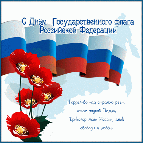 День флага России. Анонс мероприятий в Невском районе, посвященных Дню Государственного флага РФ